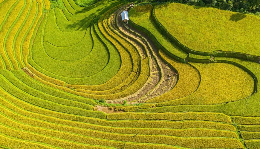 Có lẽ bạn chưa biết về vẻ kỳ vĩ, thú vị của ruộng bậc thang ở Sapa